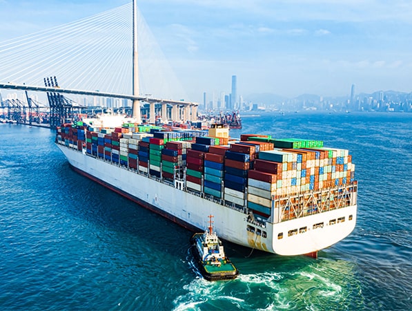 Trans Freight Global